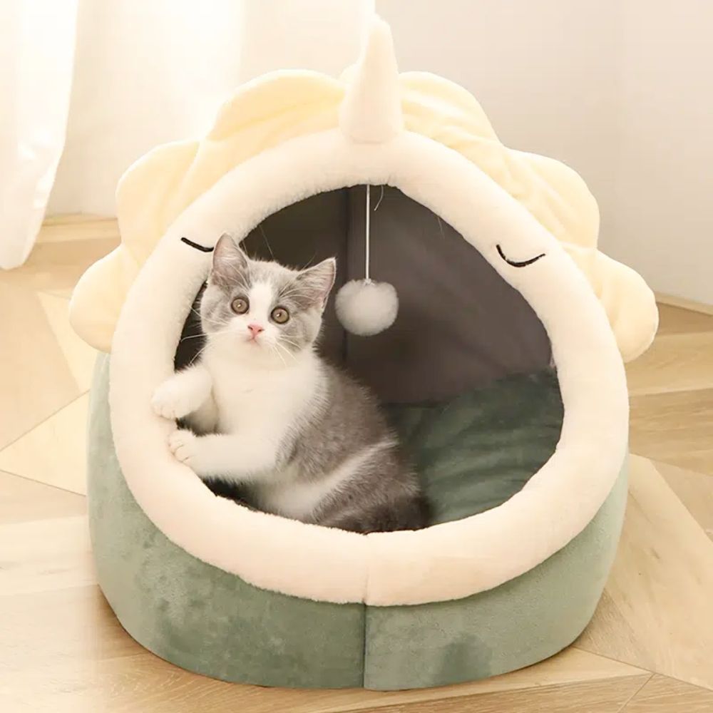 Adorable Dinosaur Pet House with Toy - Yoru Says