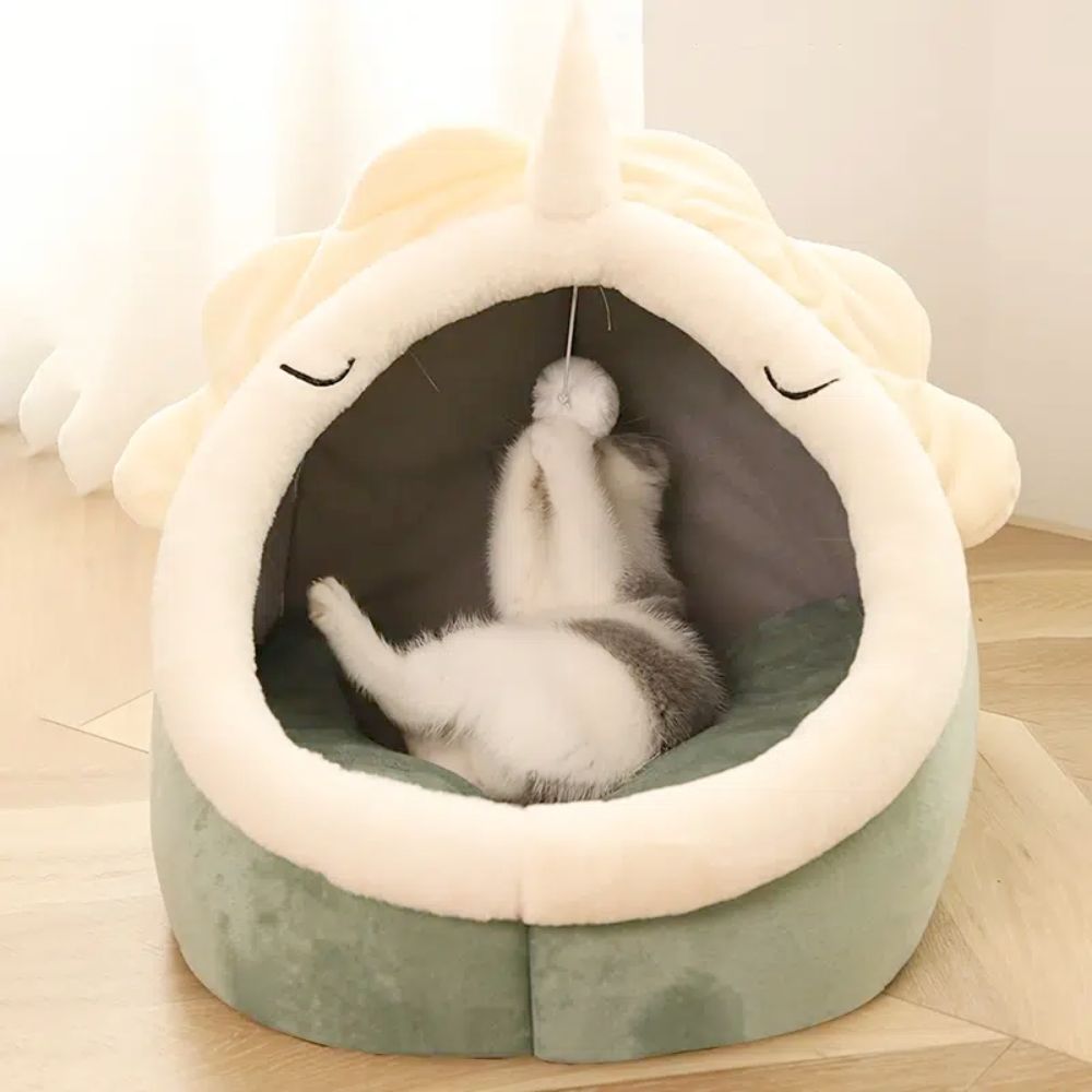 Adorable Dinosaur Pet House with Toy - Yoru Says