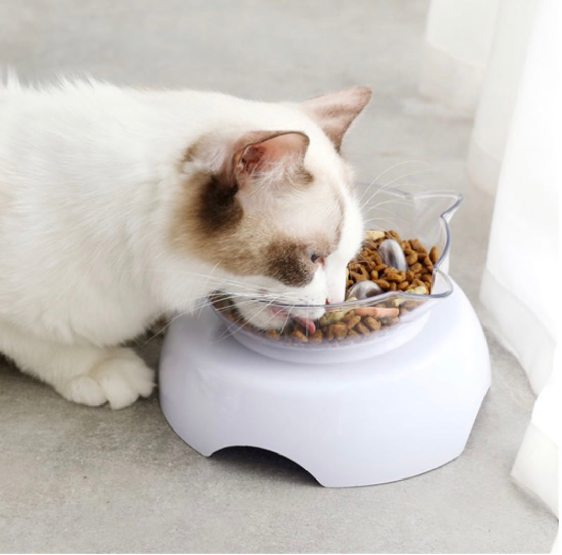 Orthopedic Cat Bowl & Slow Feeder 2-in-1 [Anti-Vomiting] - Yoru Says