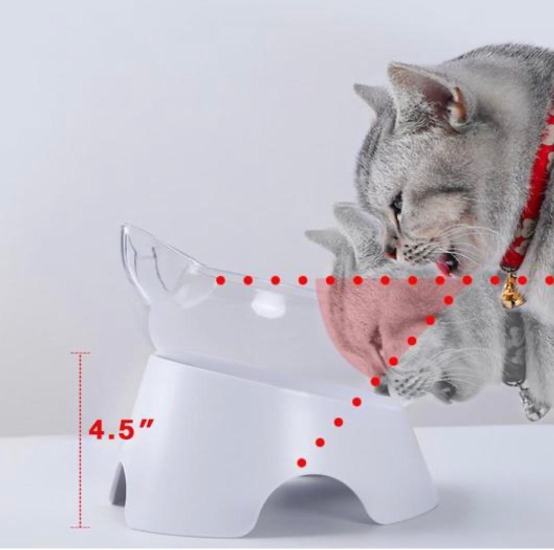 Orthopedic Cat Bowl & Slow Feeder 2-in-1 [Anti-Vomiting] - Yoru Says