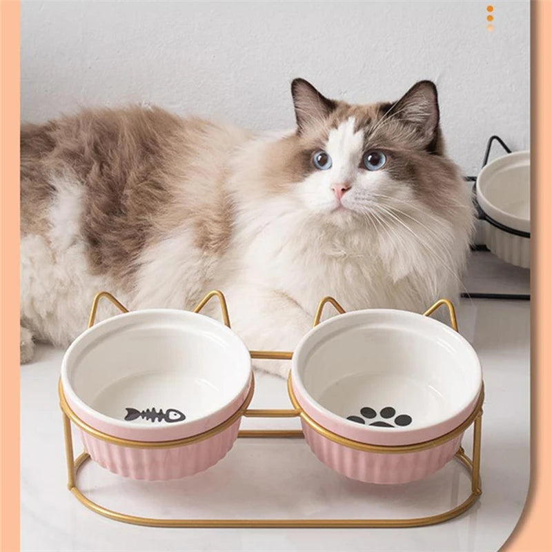 Double Ceramic Elevated Cat Bowls - Prevent Cervical Spondylosis