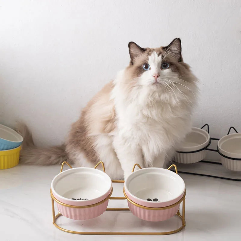 Double Ceramic Elevated Cat Bowls - Prevent Cervical Spondylosis