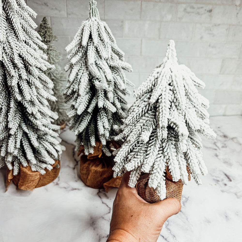 
                  
                    Snow Christmas Trees NEW - Yoru Says
                  
                