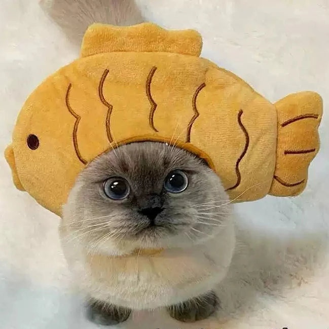 Cute Headdress Cat - Yoru Says