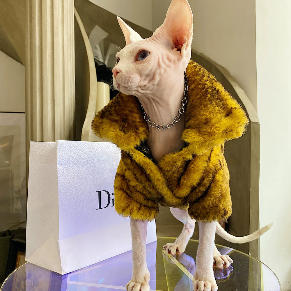 
                  
                    Warm G-Dragon  Luxury Fur Cat Coat - Yoru Says
                  
                