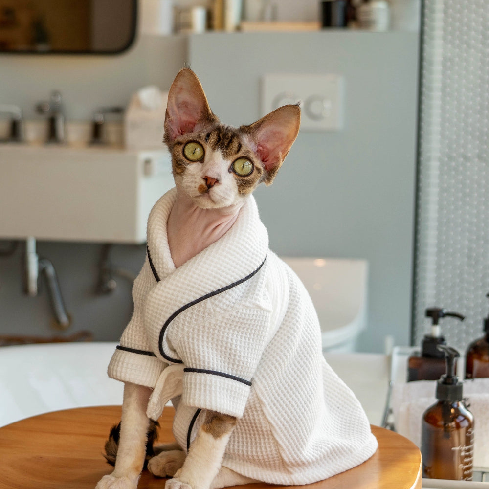 
                  
                    Luxury Cat Bathrobe - Yoru Says
                  
                