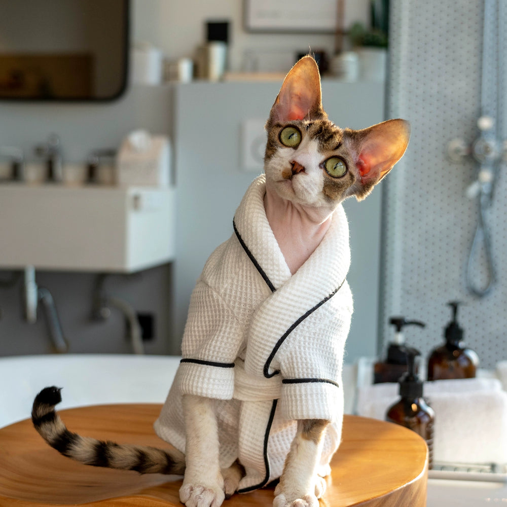 
                  
                    Luxury Cat Bathrobe - Yoru Says
                  
                