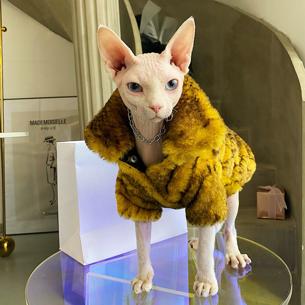 
                  
                    Warm G-Dragon  Luxury Fur Cat Coat - Yoru Says
                  
                