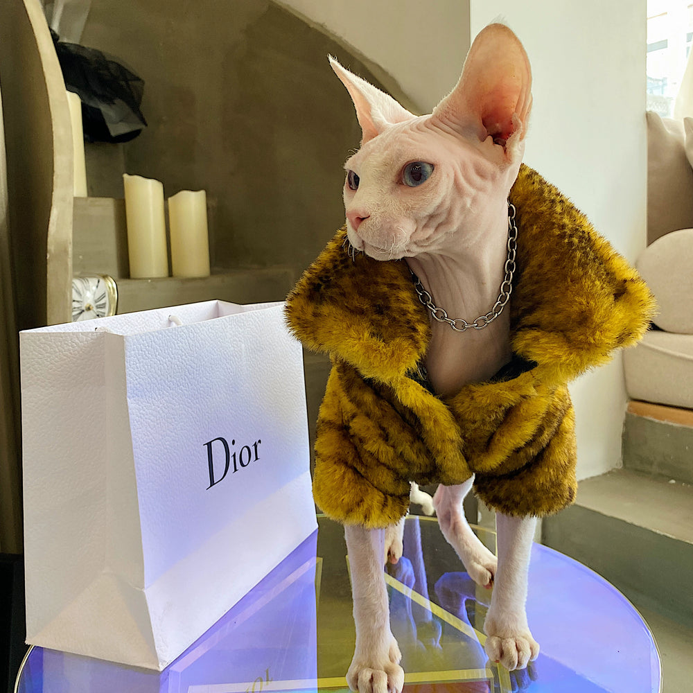 Warm G-Dragon  Luxury Fur Cat Coat - Yoru Says