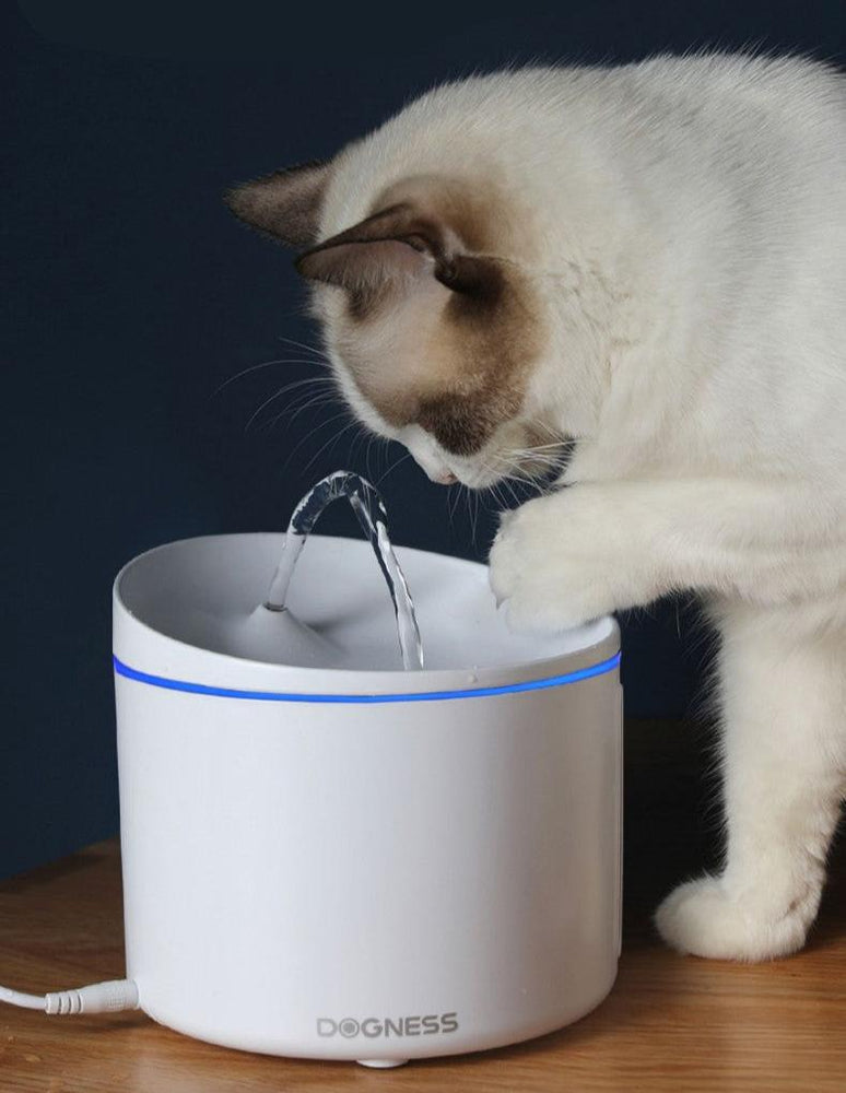 
                  
                    Donis Circulating Mobile Dog Cat Water Fountain - Yoru Says
                  
                