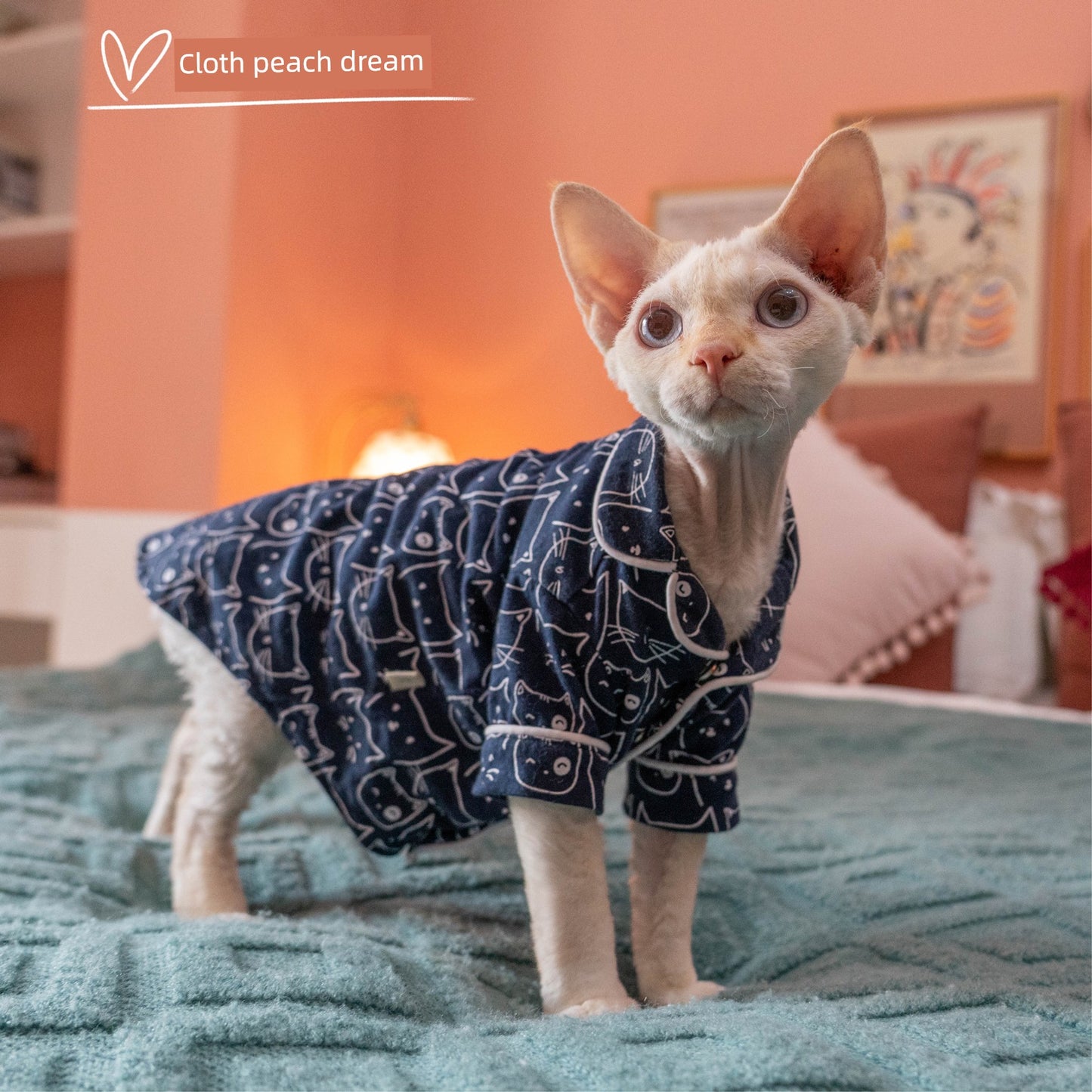 Gingerain Conis Pajamas Thin Hairless Cat - Yoru Says