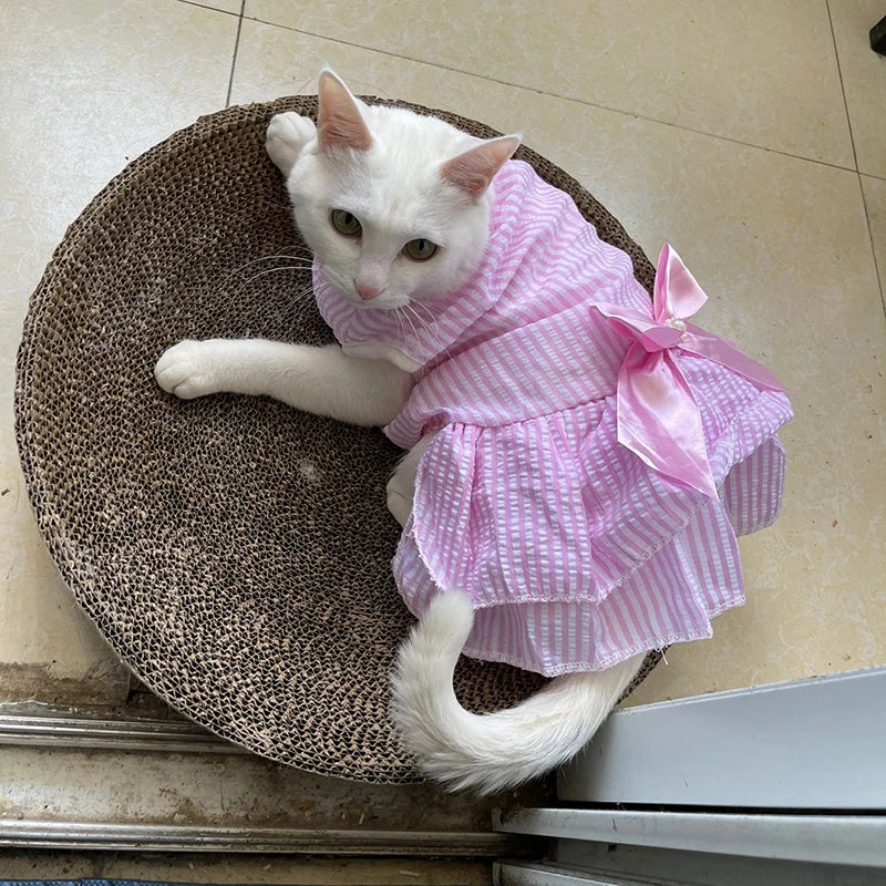 
                  
                    Plaid Princess Cat Dress - Yoru Says
                  
                