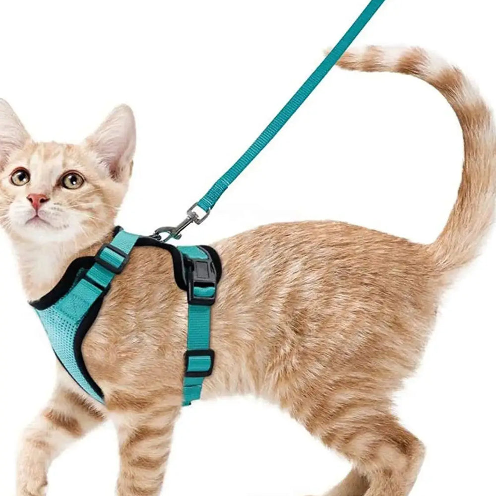 
                  
                    Escape Proof Cat Harness and Leash - Yoru Says
                  
                