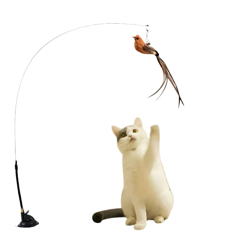 Feather Bird Pole with suction cup - Yoru Says