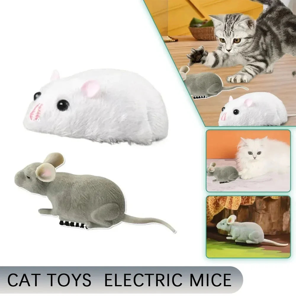 Whisker-Wiggling Electric Mouse - Yoru Says