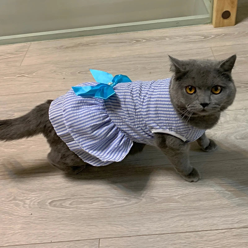 
                  
                    Plaid Princess Cat Dress - Yoru Says
                  
                