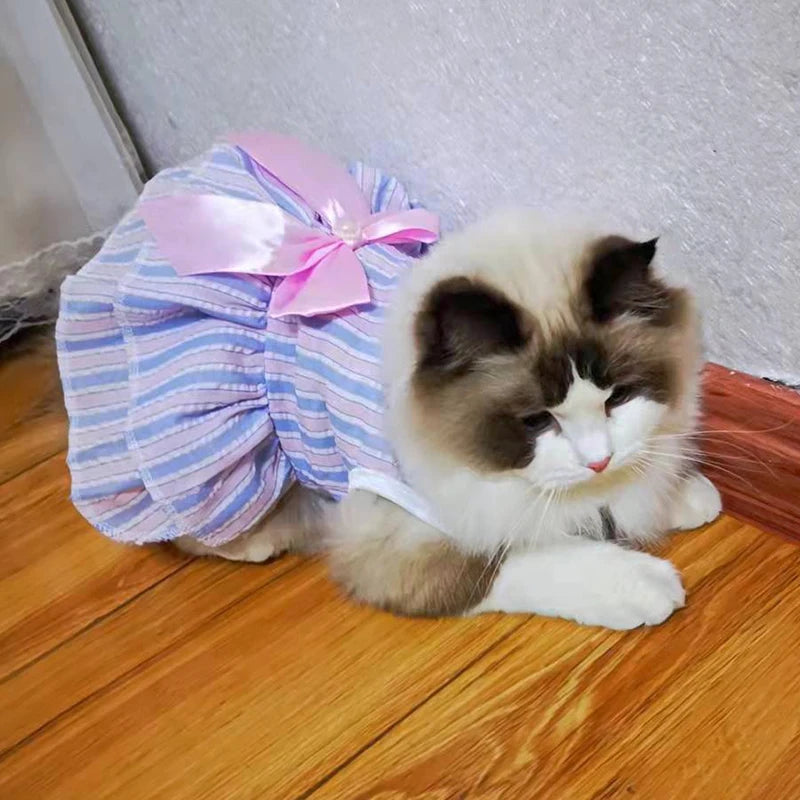 
                  
                    Plaid Princess Cat Dress - Yoru Says
                  
                