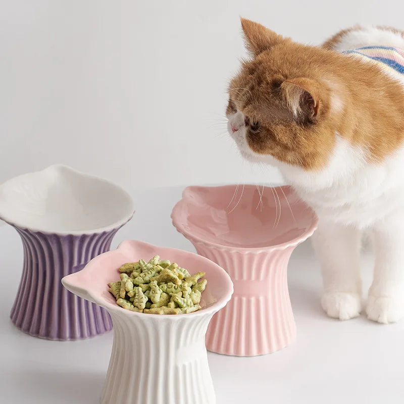 Cat Ceramic Raised Bowl