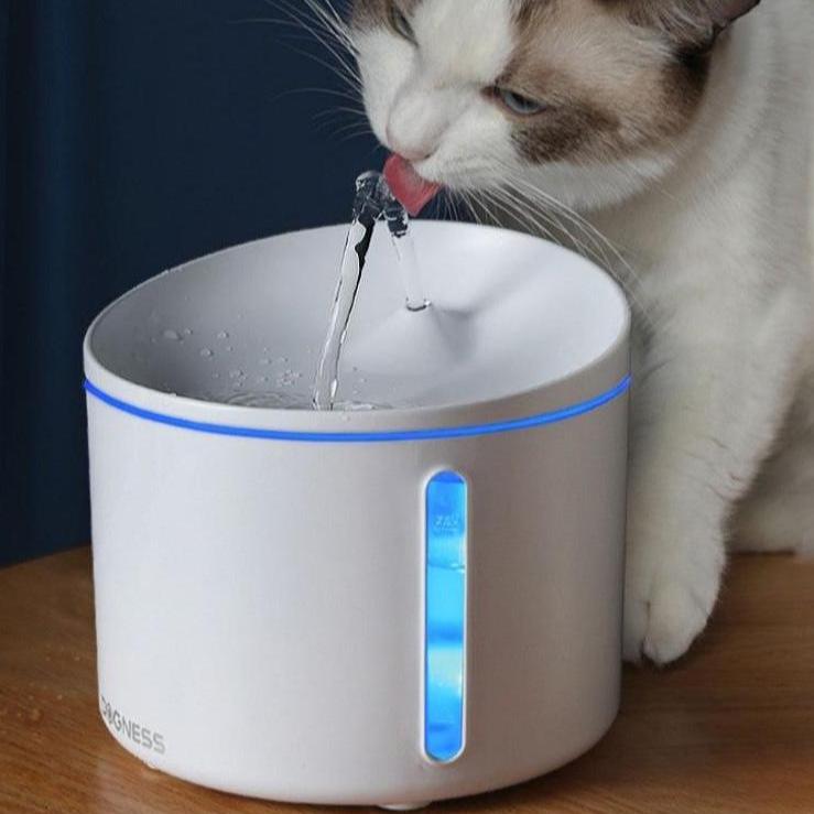 Donis Circulating Mobile Dog Cat Water Fountain - Yoru Says