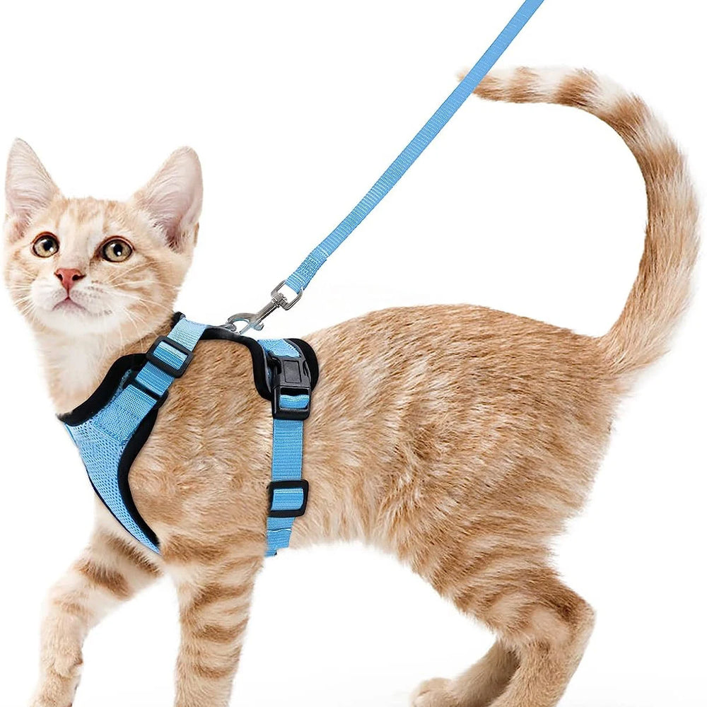 
                  
                    Escape Proof Cat Harness and Leash - Yoru Says
                  
                