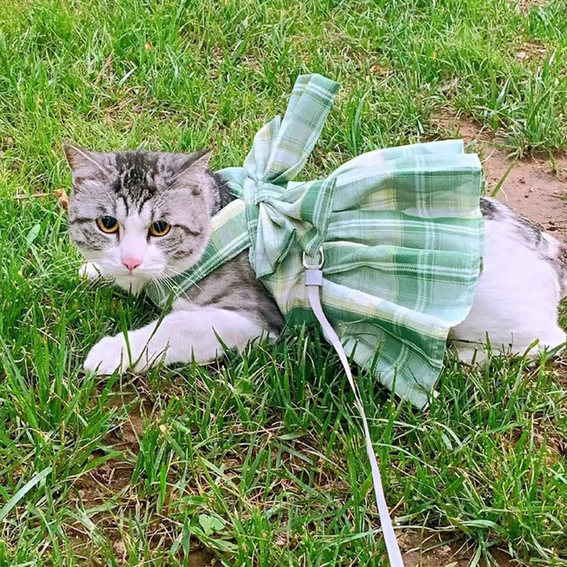 
                  
                    Sweet Plaid Cat Dress Vest with Harness - Yoru Says
                  
                