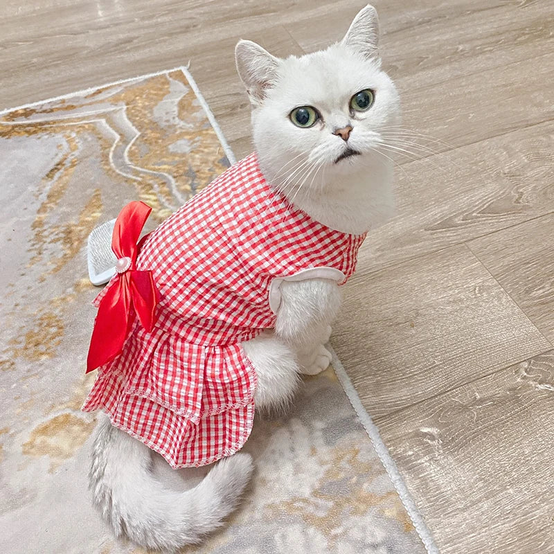 
                  
                    Plaid Princess Cat Dress - Yoru Says
                  
                