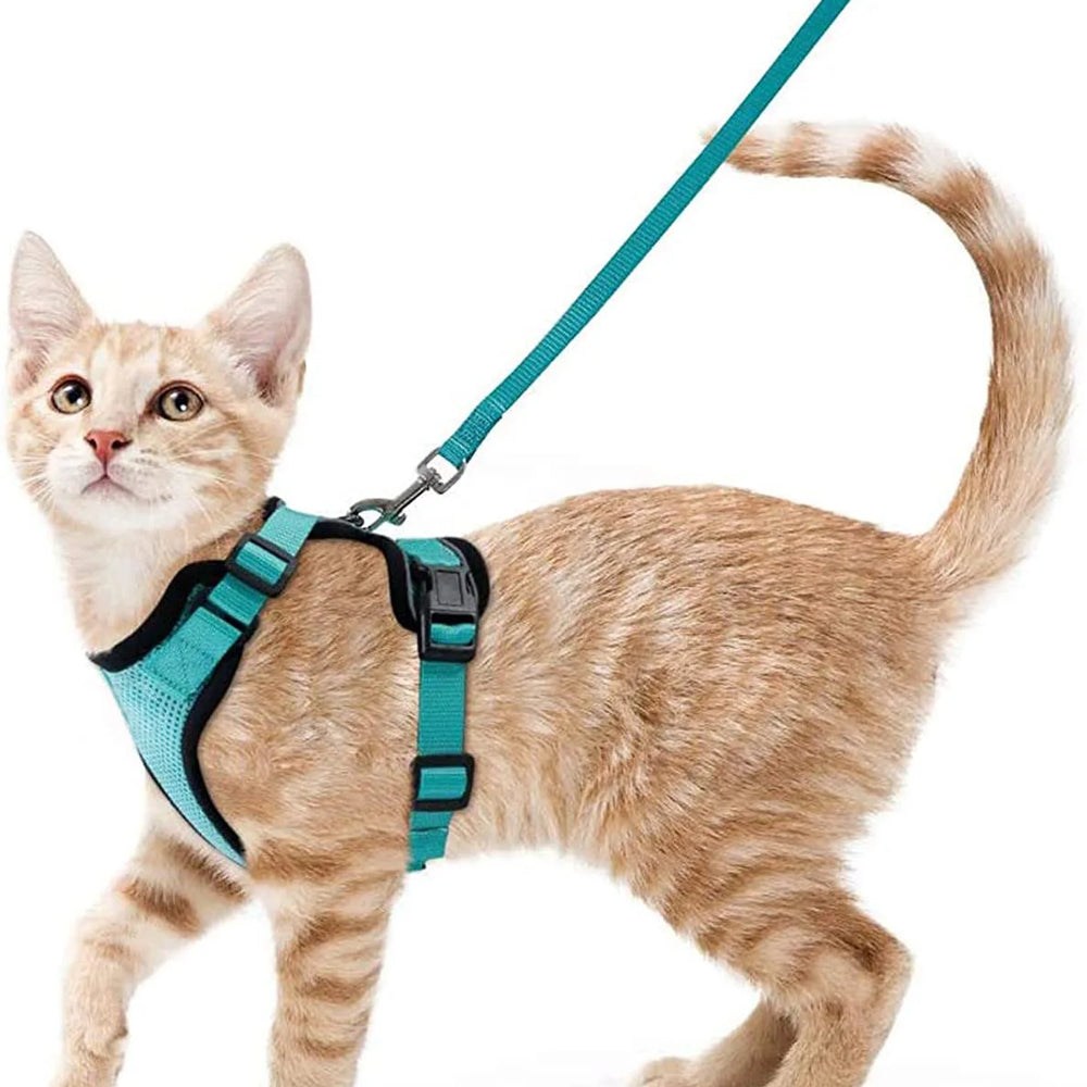 Escape Proof Cat Harness and Leash - Yoru Says