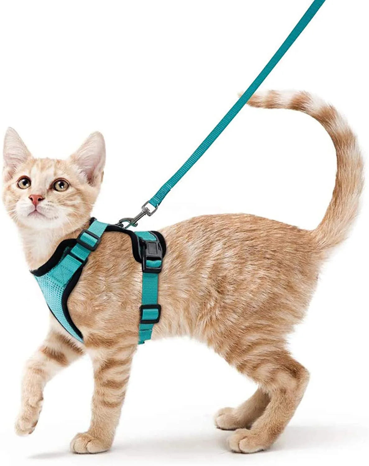 Escape Proof Cat Harness and Leash - Yoru Says