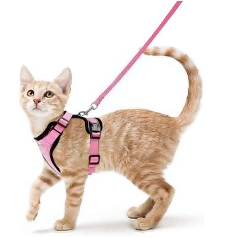 
                  
                    Escape Proof Cat Harness and Leash - Yoru Says
                  
                