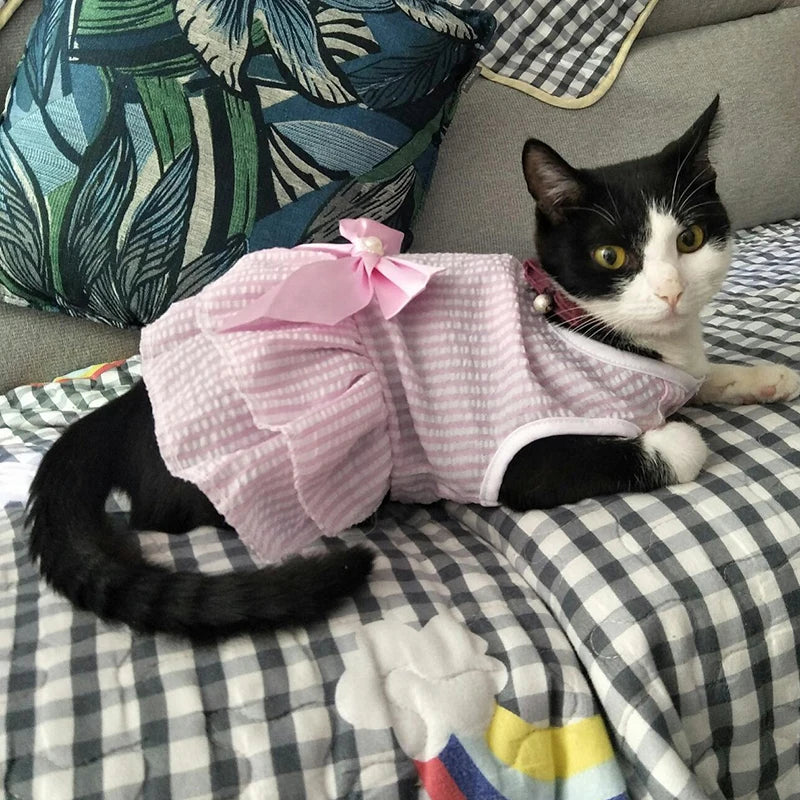 
                  
                    Plaid Princess Cat Dress - Yoru Says
                  
                