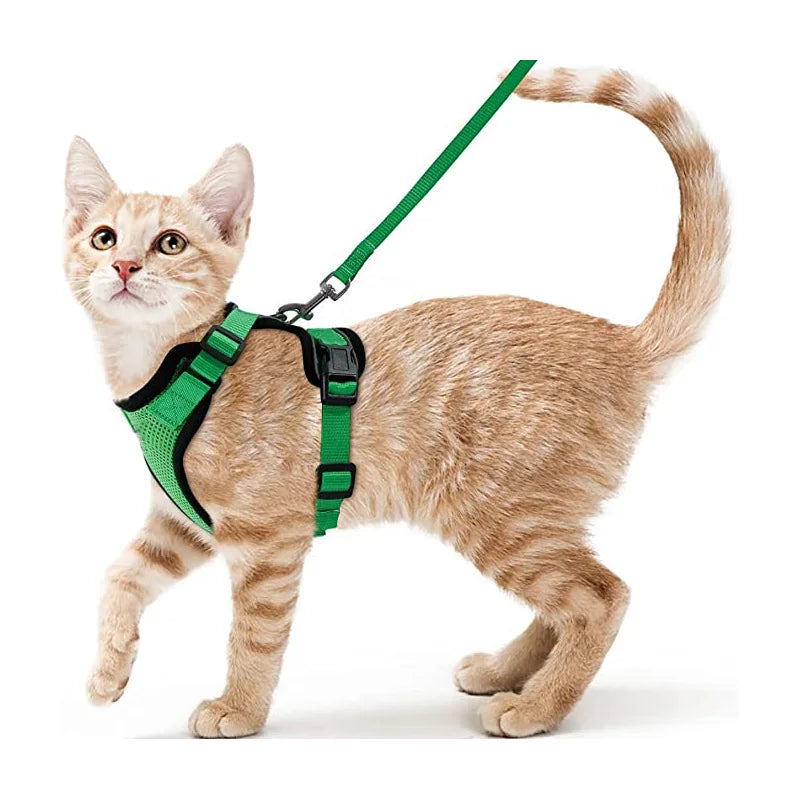 
                  
                    Escape Proof Cat Harness and Leash - Yoru Says
                  
                