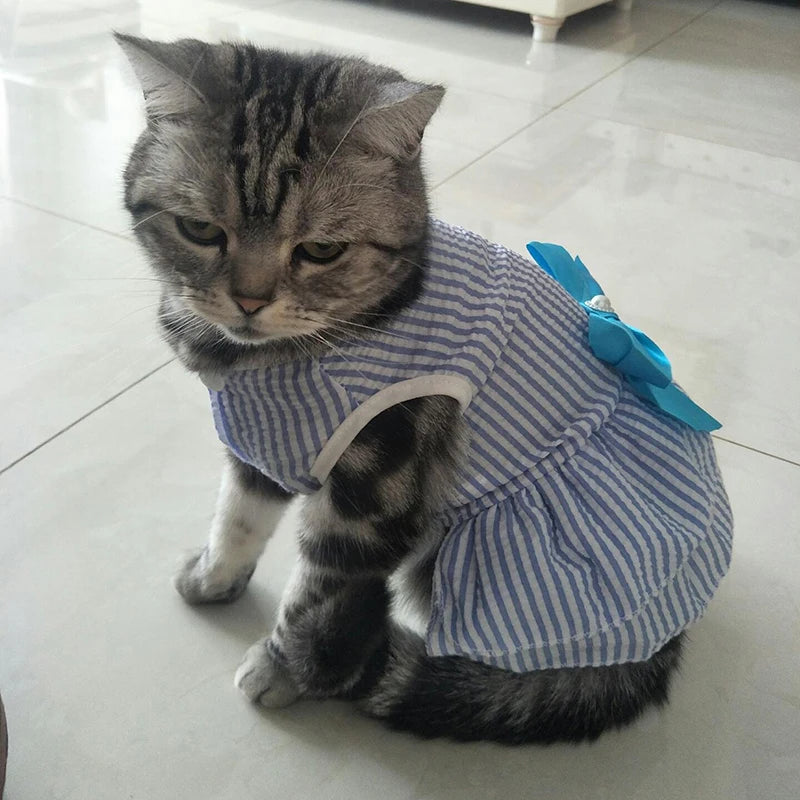 
                  
                    Plaid Princess Cat Dress - Yoru Says
                  
                