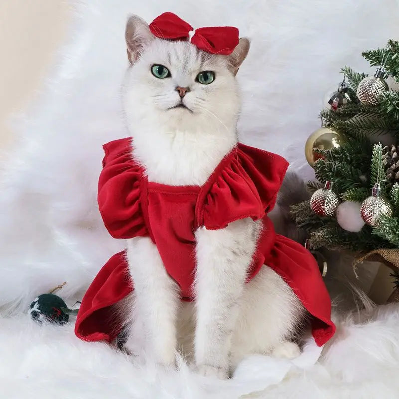 Pretty Kitty Christmas Cat Dress - Yoru Says