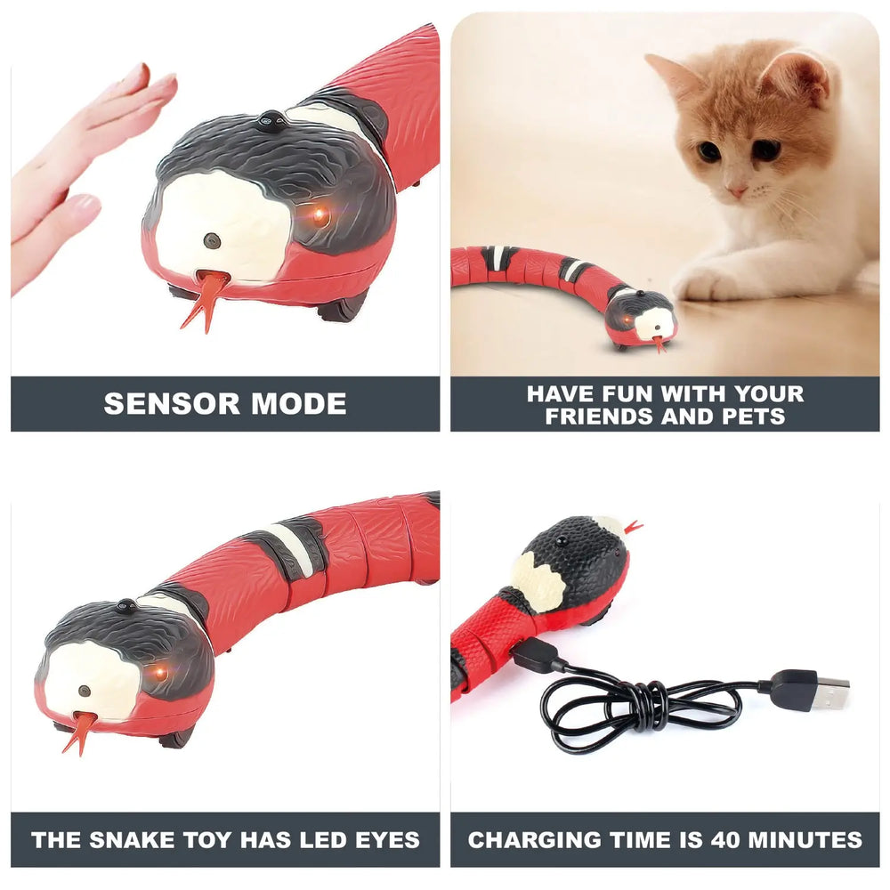 
                  
                    Smart, Interactive Snake Cat Toy - Yoru Says
                  
                