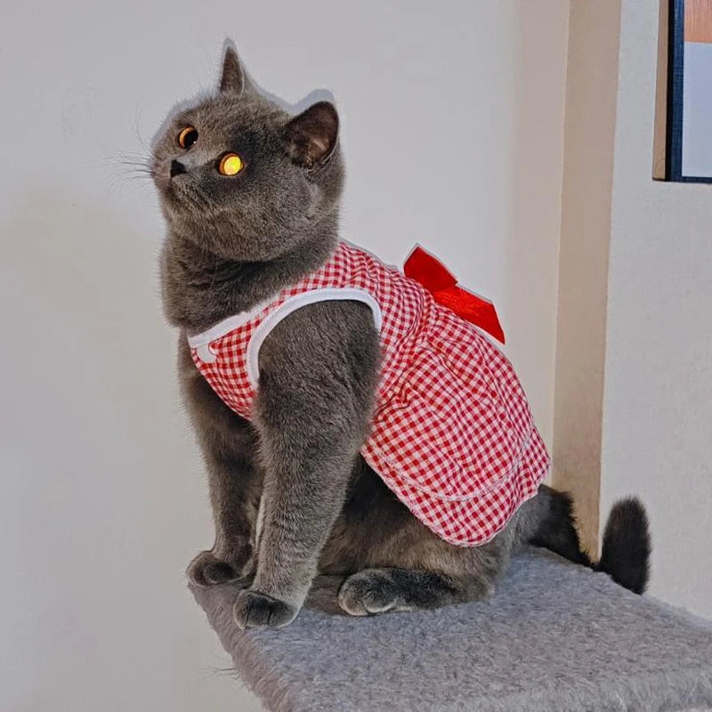 
                  
                    Plaid Princess Cat Dress - Yoru Says
                  
                