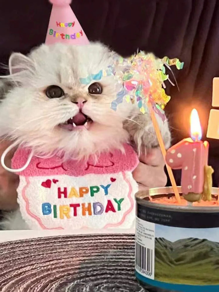 
                  
                    Birthday Party! Bib and Party Hat & Adjustable Bandana - Yoru Says
                  
                