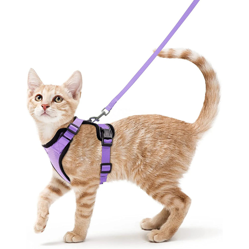 
                  
                    Escape Proof Cat Harness and Leash - Yoru Says
                  
                