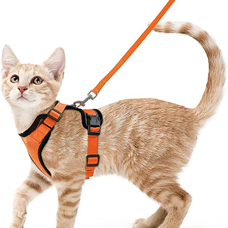 
                  
                    Escape Proof Cat Harness and Leash - Yoru Says
                  
                