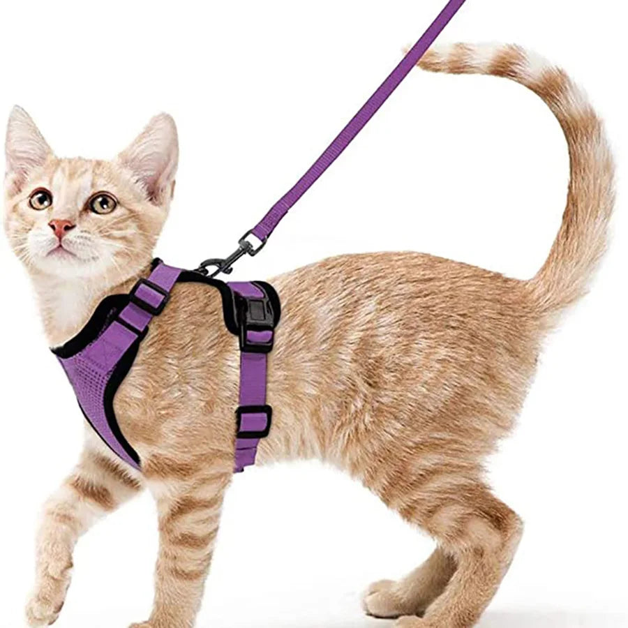 
                  
                    Escape Proof Cat Harness and Leash - Yoru Says
                  
                