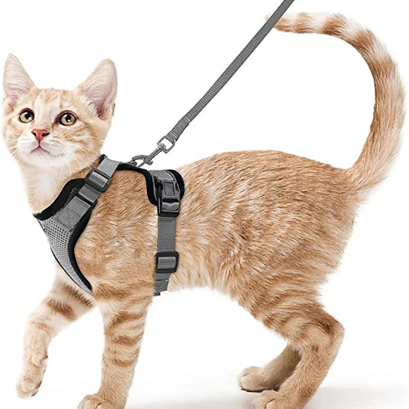 
                  
                    Escape Proof Cat Harness and Leash - Yoru Says
                  
                