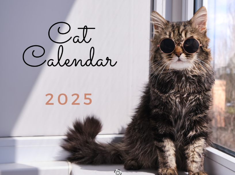 Cat Wall Calendar (2025) - Yoru Says