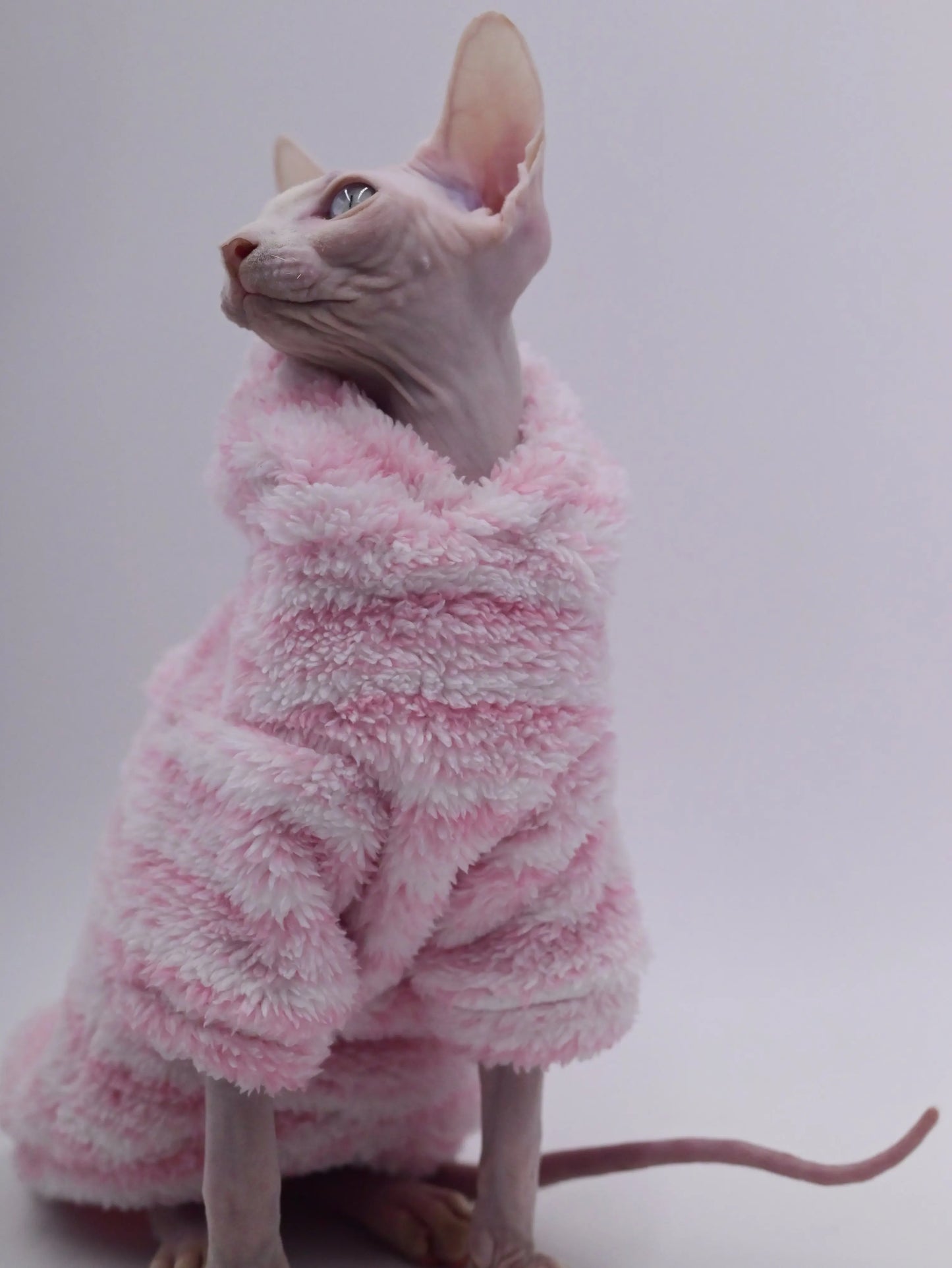 Pinky Frost Cat Cardigan - Yoru Says