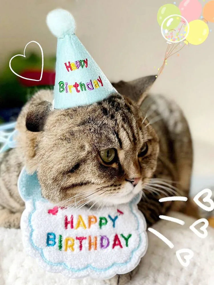 
                  
                    Birthday Party! Bib and Party Hat & Adjustable Bandana - Yoru Says
                  
                