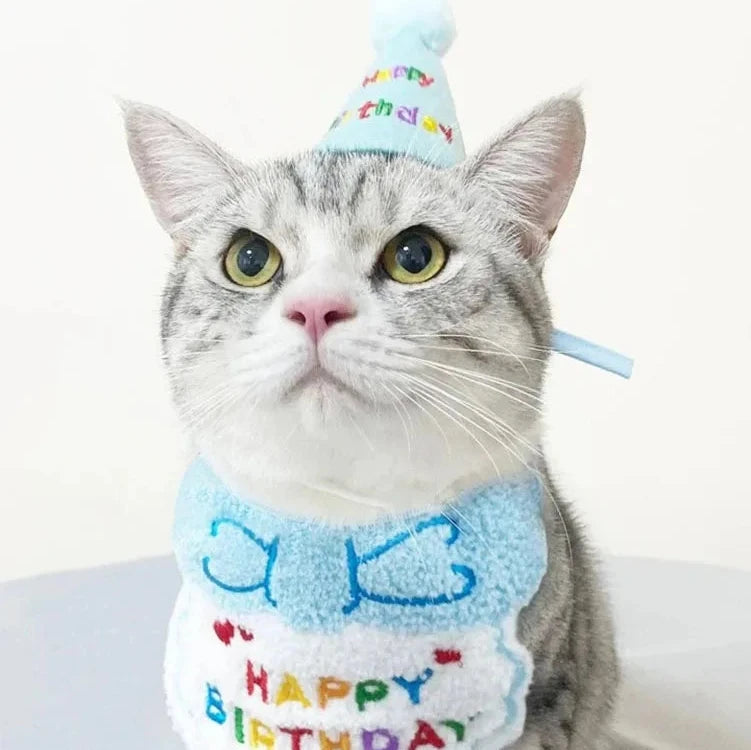 Birthday Party! Bib and Party Hat & Adjustable Bandana - Yoru Says