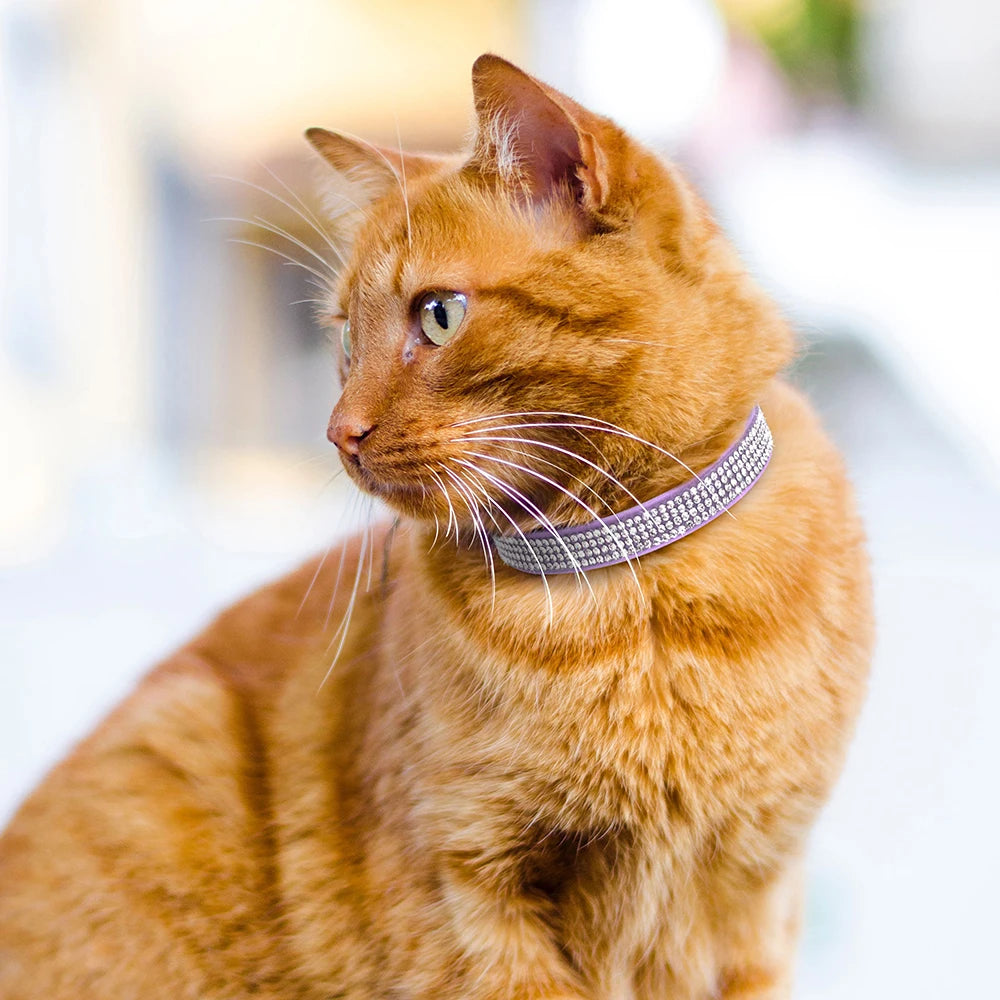 
                  
                    Soft Suede Leather Breakaway Cat Collar - Yoru Says
                  
                