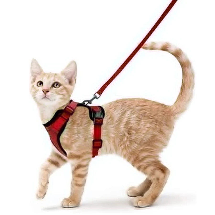 
                  
                    Escape Proof Cat Harness and Leash - Yoru Says
                  
                