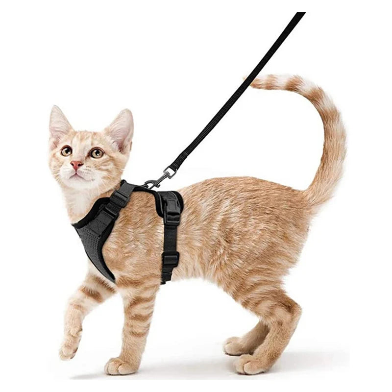 
                  
                    Escape Proof Cat Harness and Leash - Yoru Says
                  
                