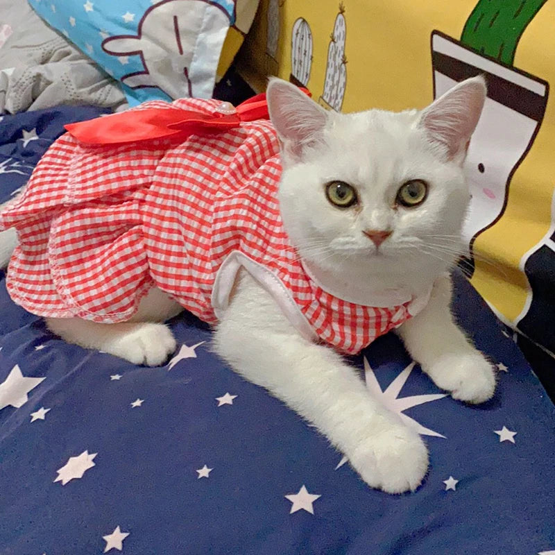 
                  
                    Plaid Princess Cat Dress - Yoru Says
                  
                