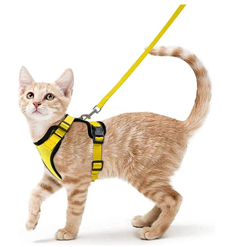 
                  
                    Escape Proof Cat Harness and Leash - Yoru Says
                  
                